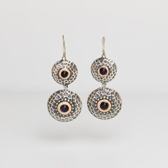 Silver earrings: View