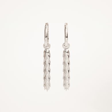 Silver earrings: Ear large (4 cm)