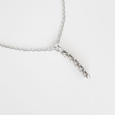 Silver necklace: Colossus