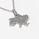 Silver pendant: Map of Ukraine