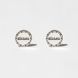 Silver earrings: Vilna