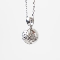 Silver Pendant: The Secret of the Nation