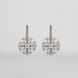 Silver earrings: Code of the Nation