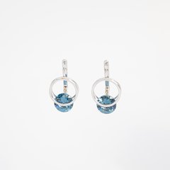 Silver earrings: Blue circle