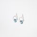 Silver earrings: Blue circle